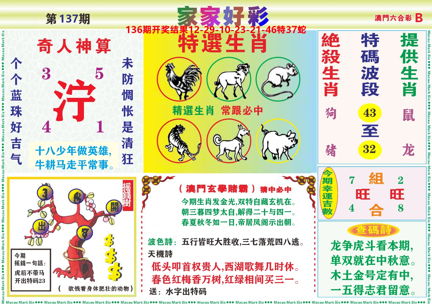 家家好彩B 第137期
