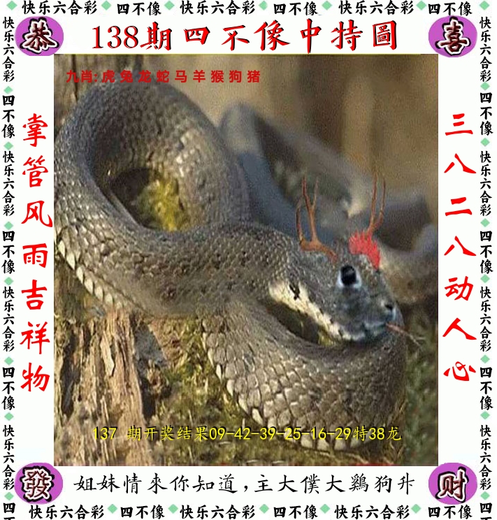 四不像 第138期