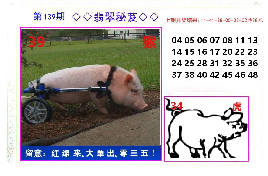 翡翠秘芨 第139期