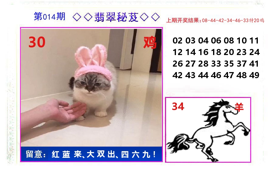 翡翠秘芨 第14期
