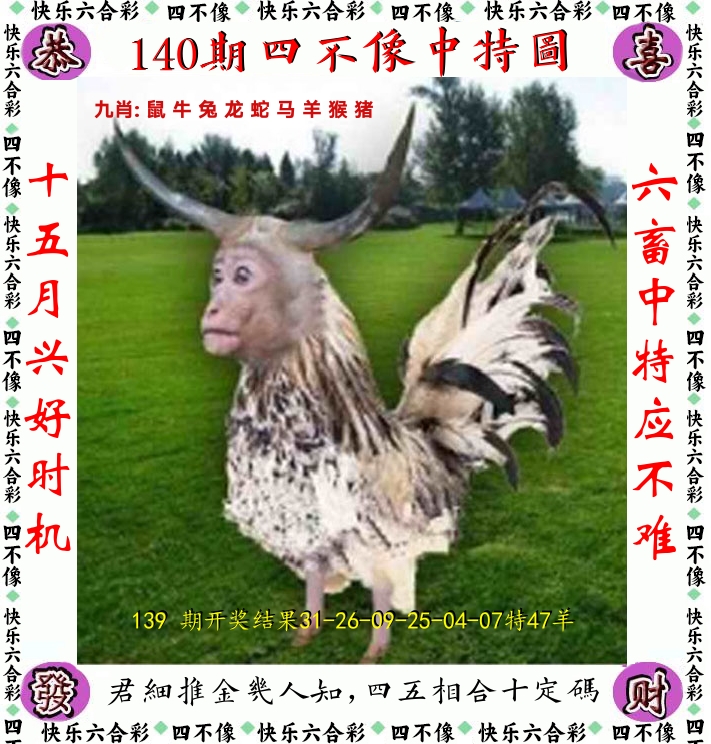四不像 第140期