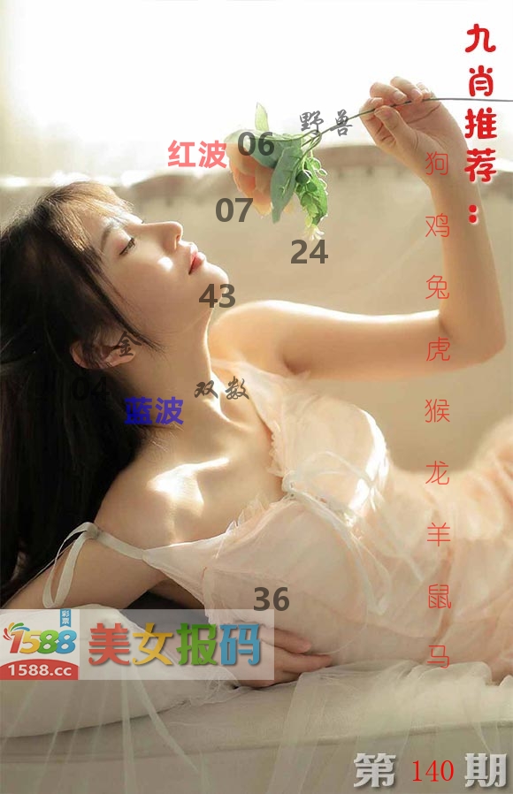 美女报码 第140期
