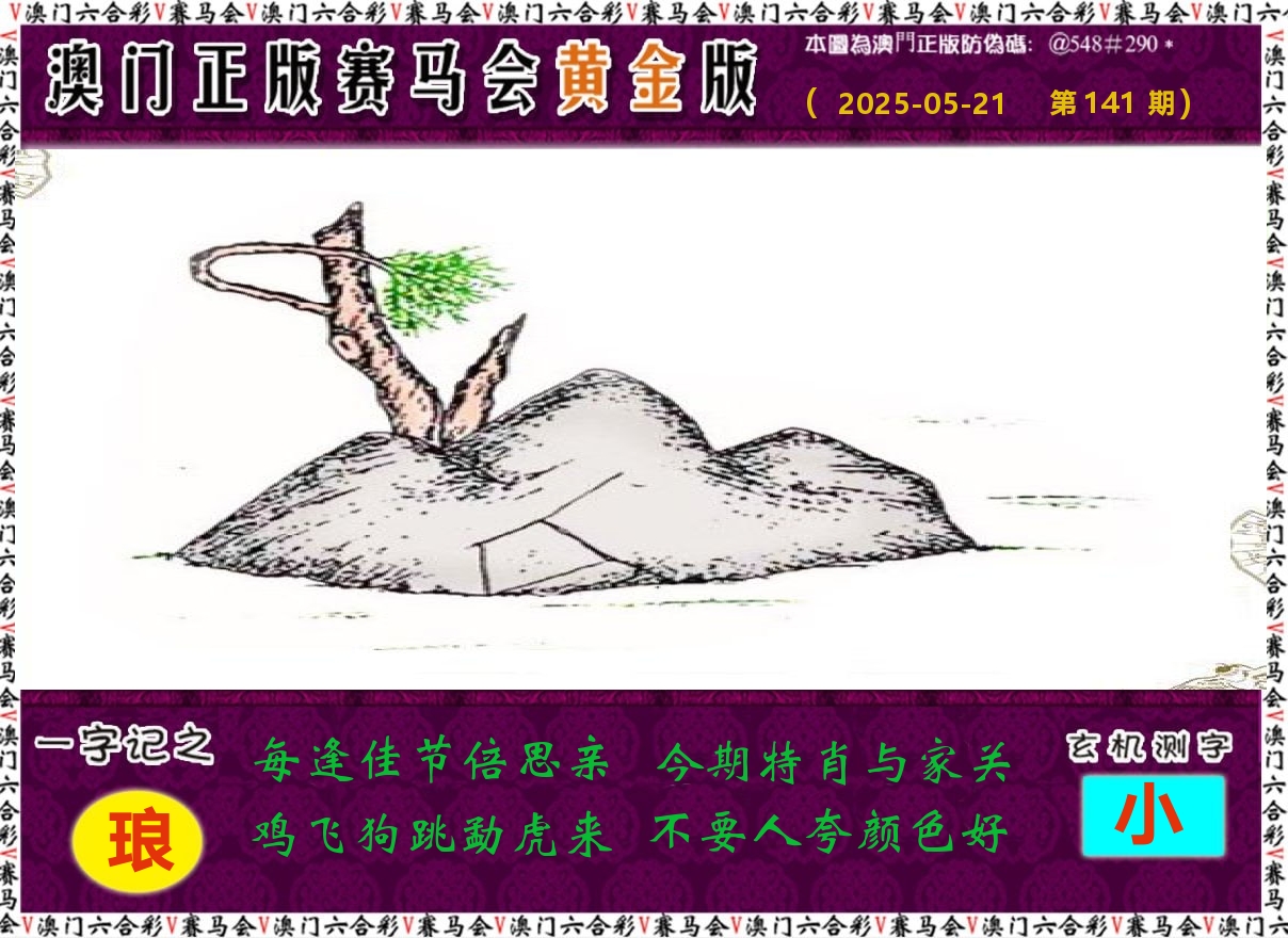 赛马会黄金版 第141期