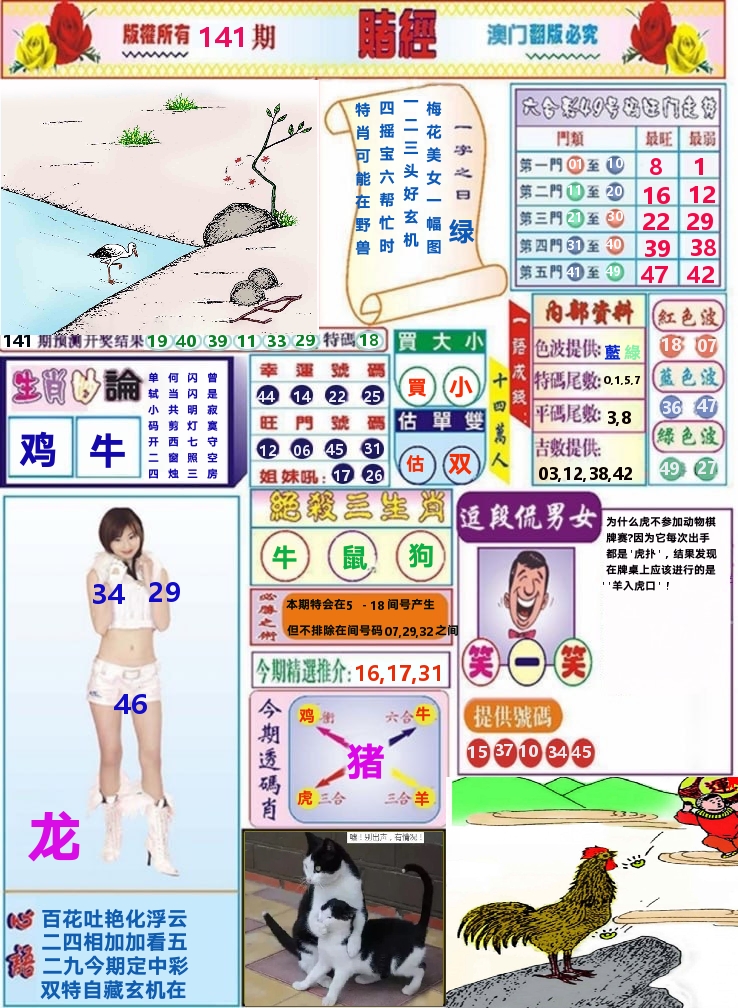 澳门赌经 第141期