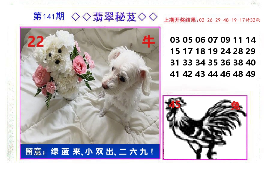 翡翠秘芨 第141期