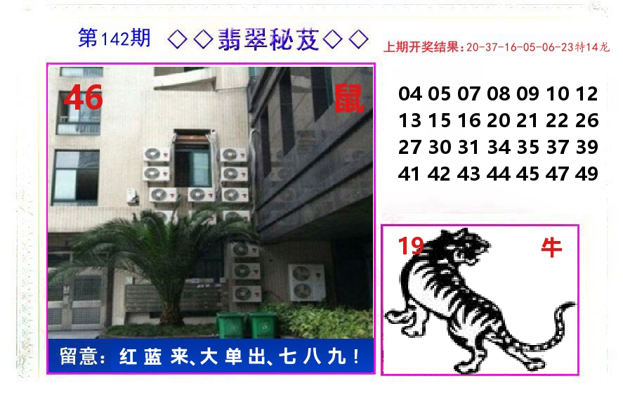 翡翠秘芨 第142期