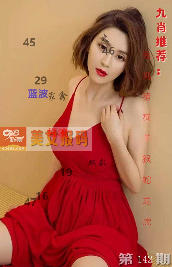 美女报码 第142期