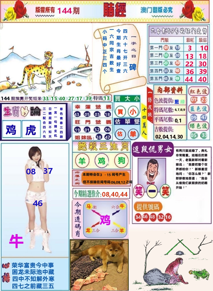 澳门赌经 第144期