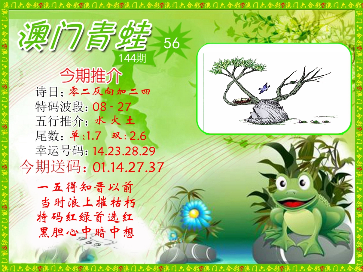 青蛙系列56 第144期