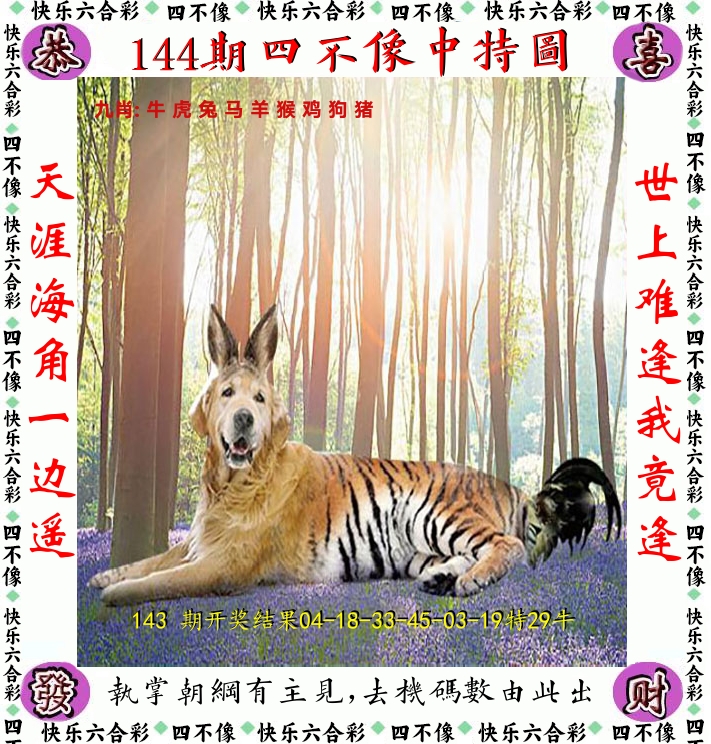 四不像 第144期