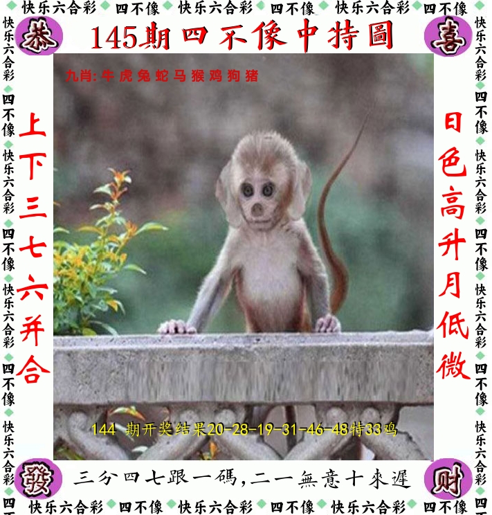四不像 第145期