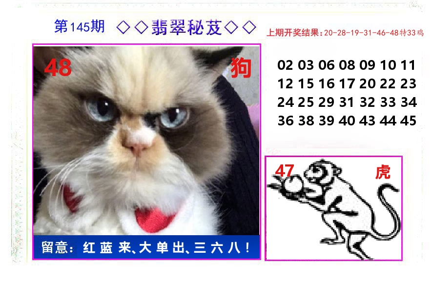 翡翠秘芨 第145期