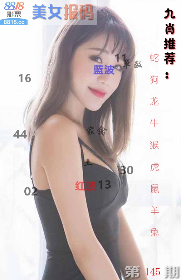 美女报码 第145期
