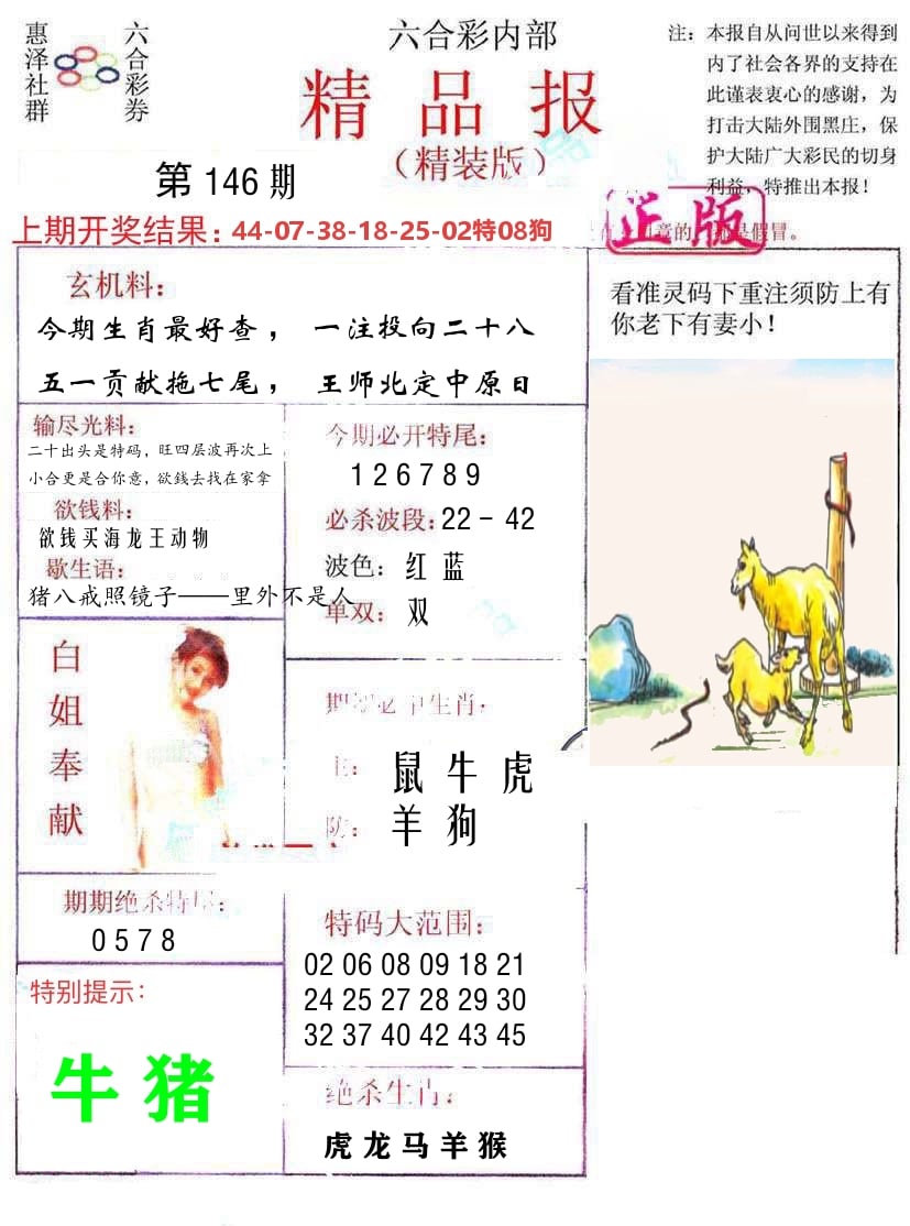 精品报 第146期