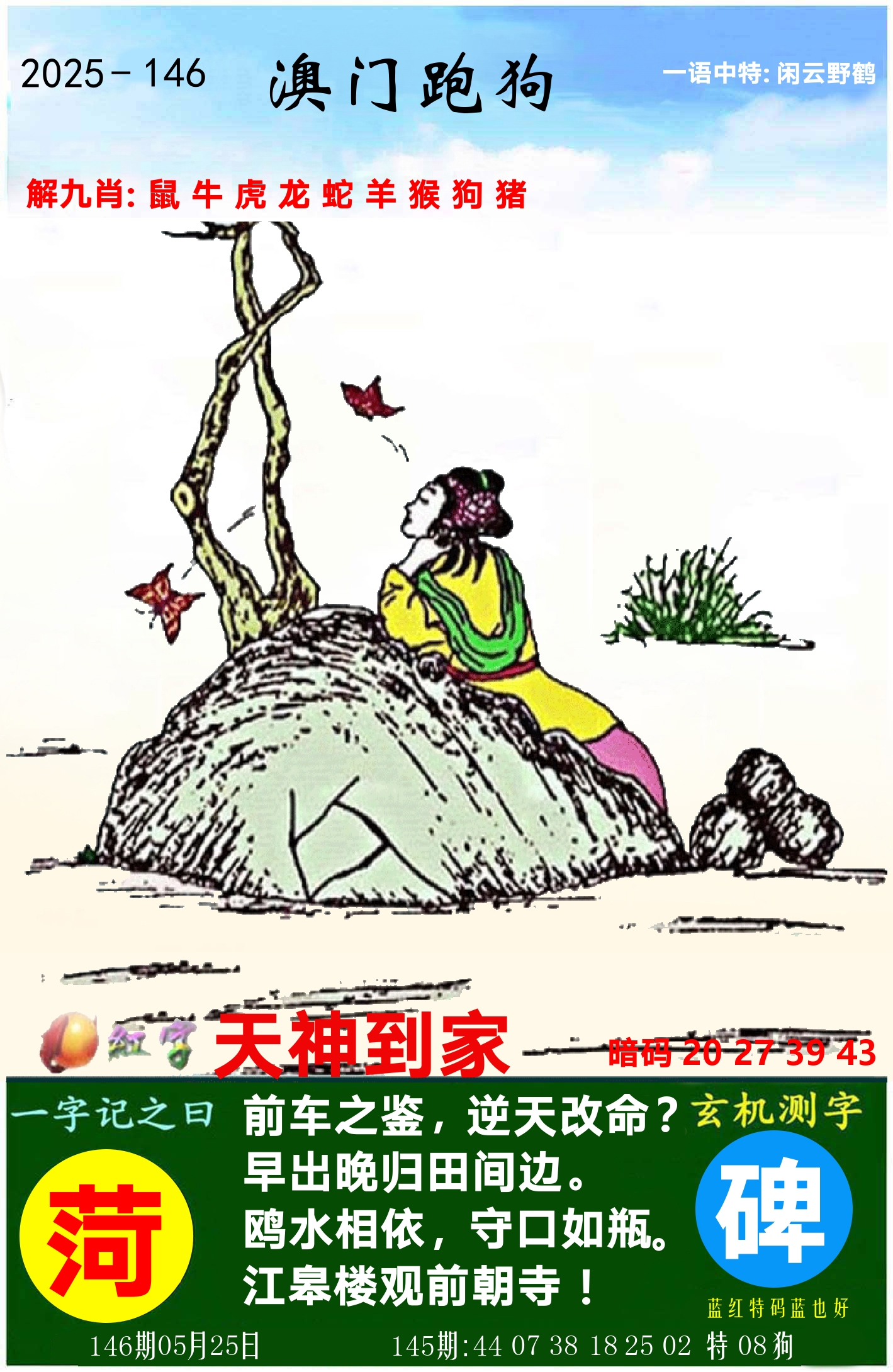 澳门跑狗图 第146期