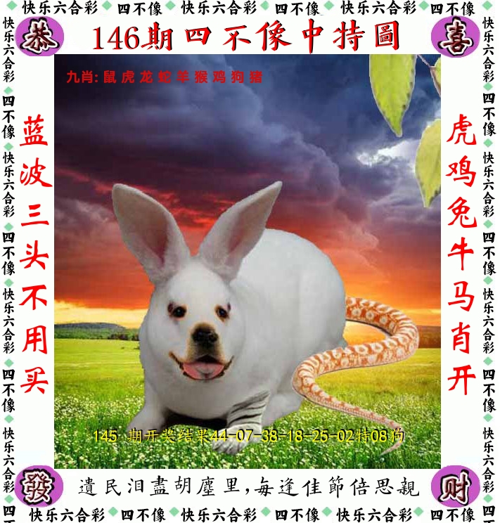 四不像 第146期
