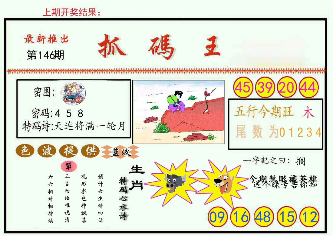最新抓码王 第146期