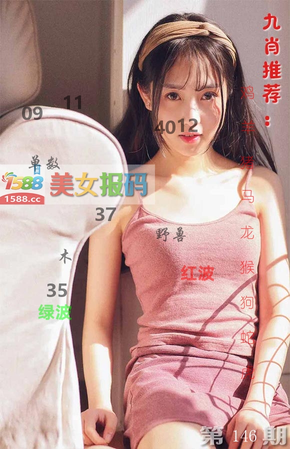 美女报码 第146期