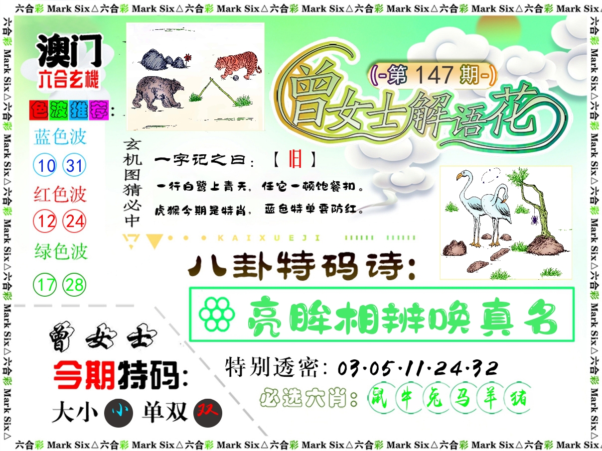 曾女士解语花 第147期