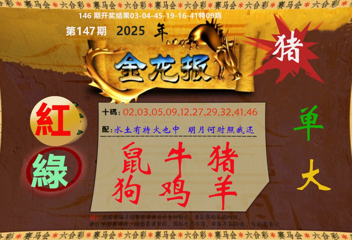 金龙报 第147期