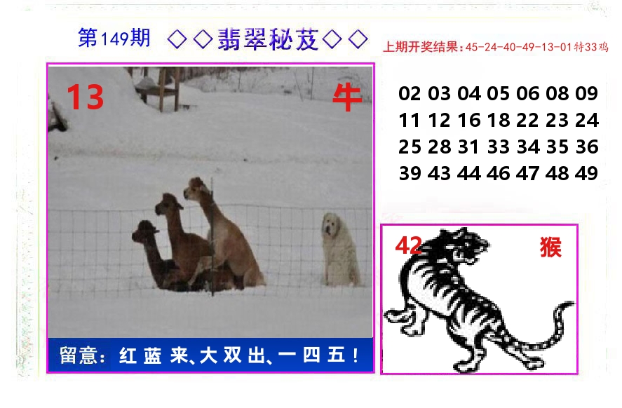 翡翠秘芨 第149期
