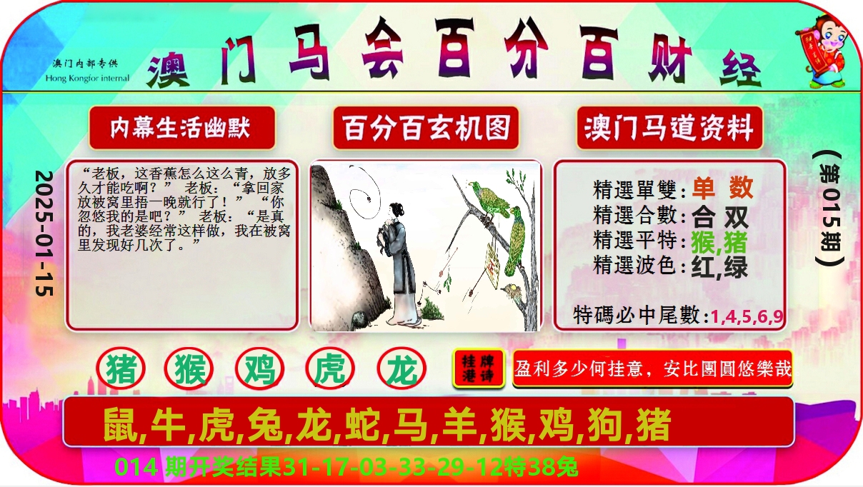 百分百财经 第15期