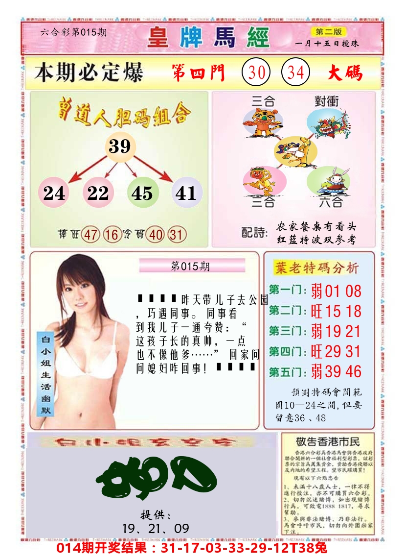 澳门皇牌马经B 第15期