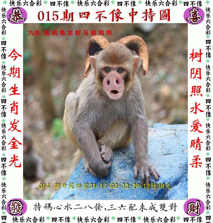 四不像 第15期