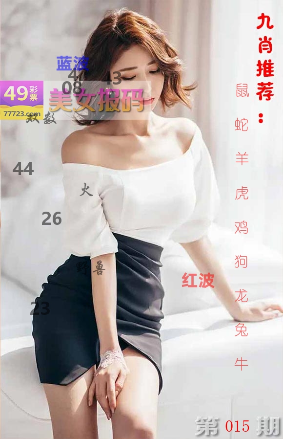 美女报码 第15期