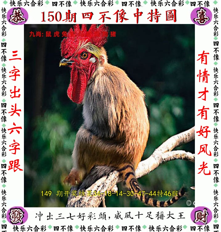 四不像 第150期