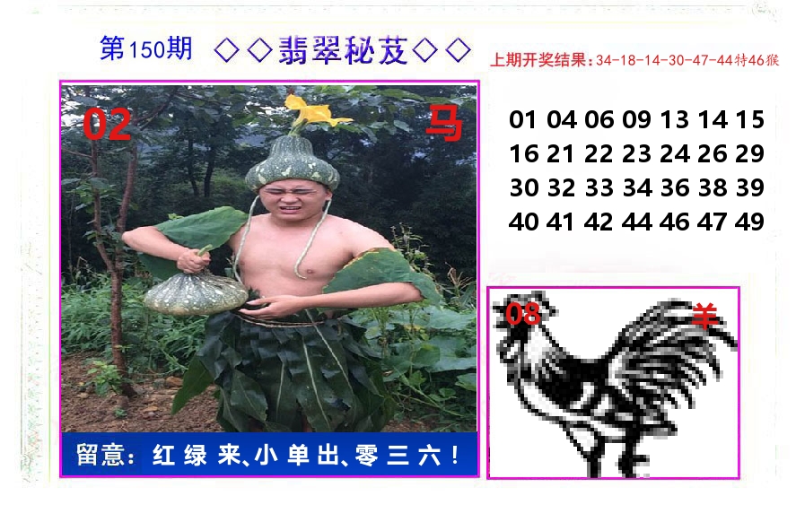 翡翠秘芨 第150期