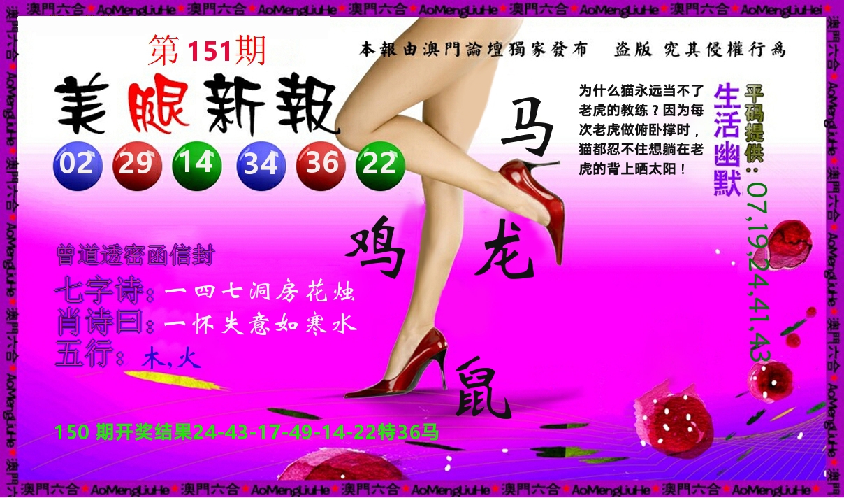 美腿新报 第151期
