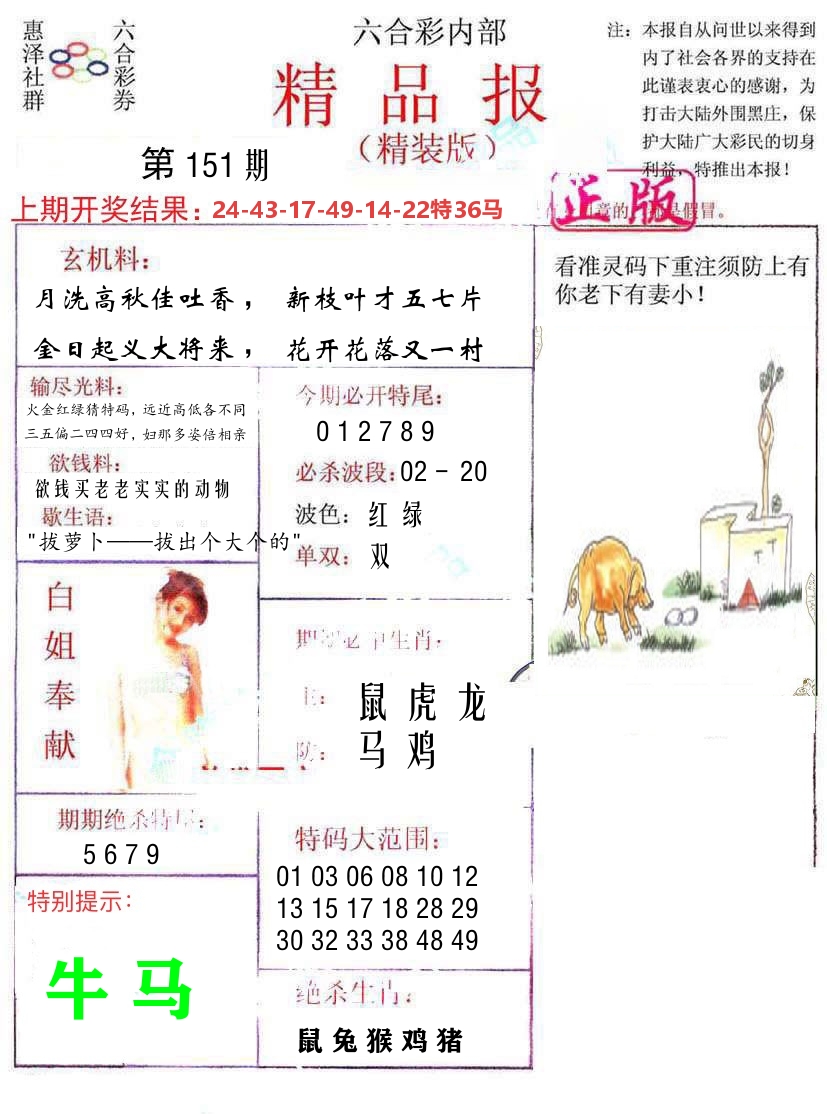 精品报 第151期