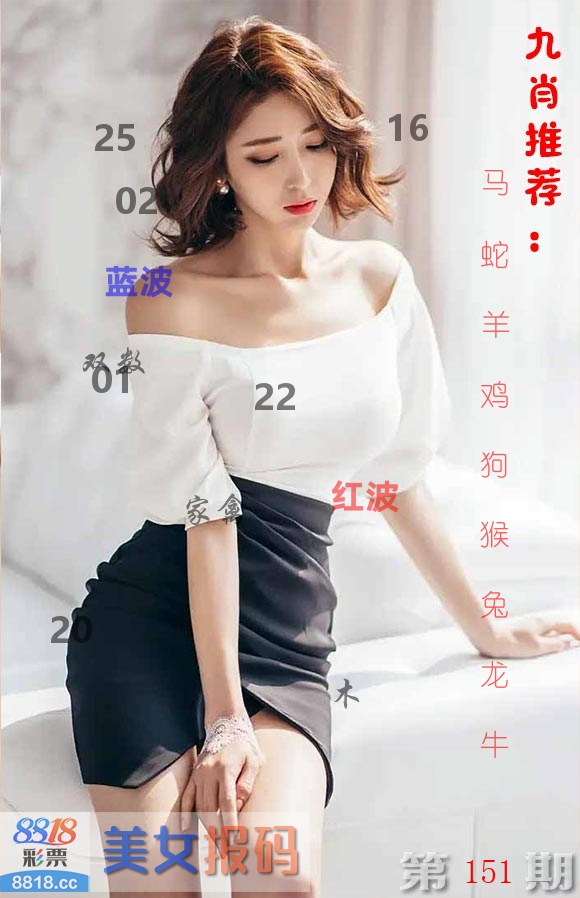 美女报码 第151期