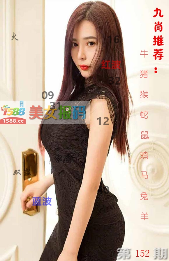 美女报码 第152期