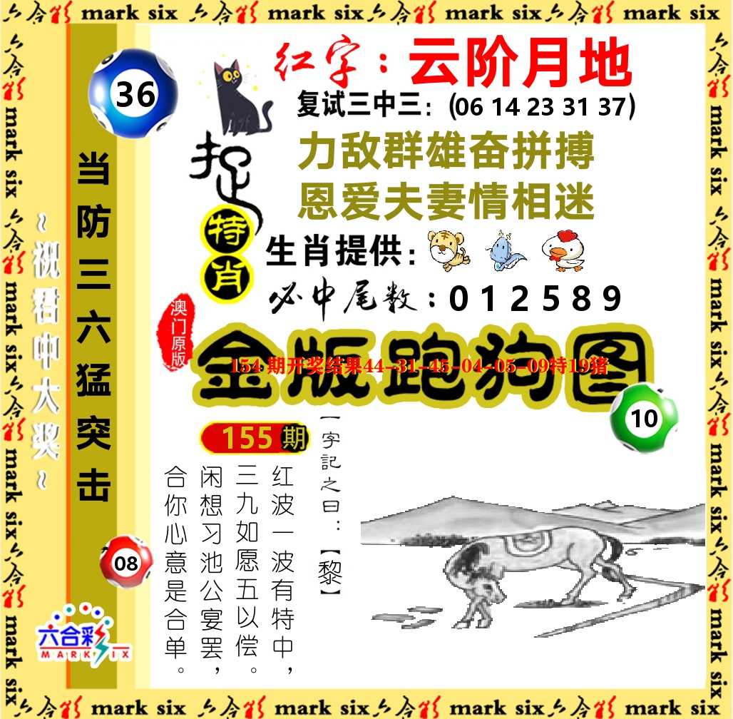 金版跑狗图 第155期
