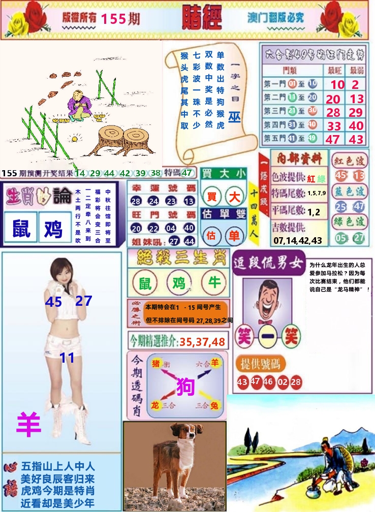 澳门赌经 第155期