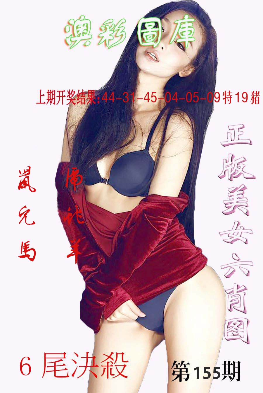 澳门图库 第155期