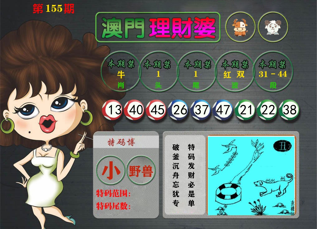 理财婆 第155期