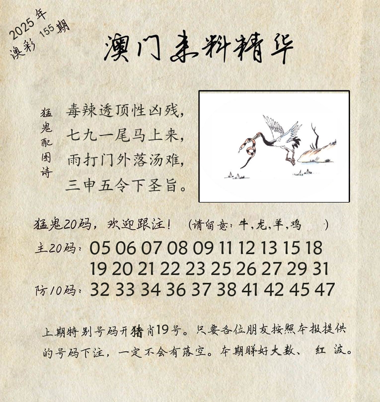 精华来料 第155期