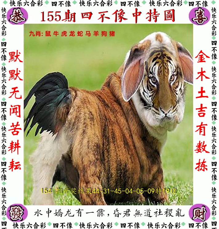 四不像 第155期