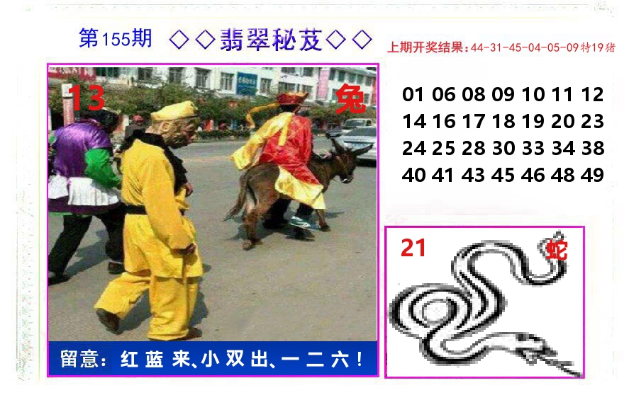 翡翠秘芨 第155期