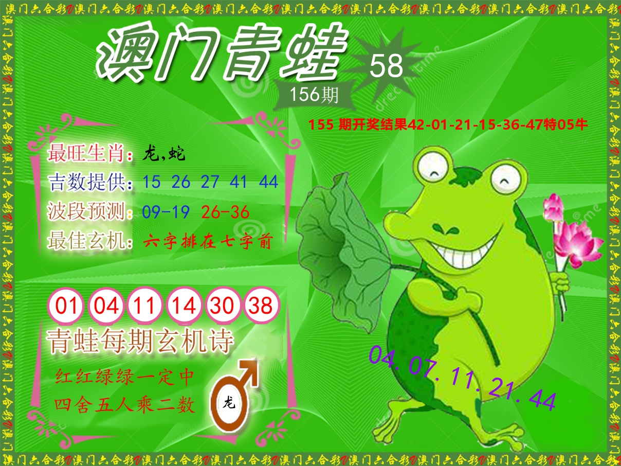青蛙系列58 第156期