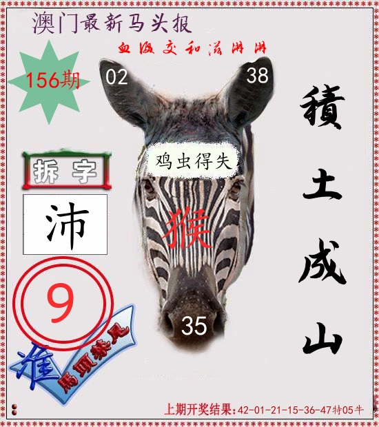 马头报 第156期