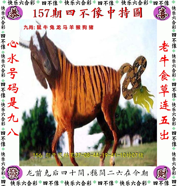 四不像 第157期