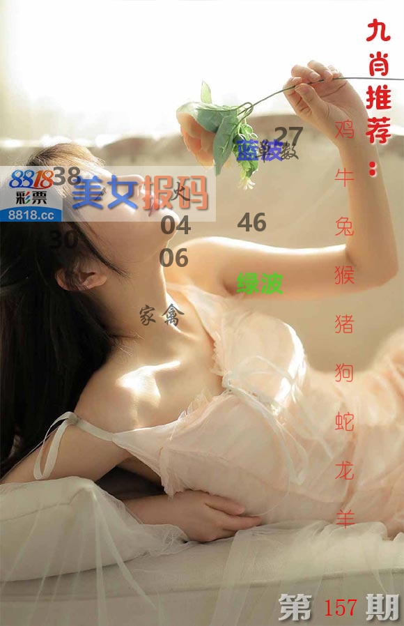 美女报码 第157期