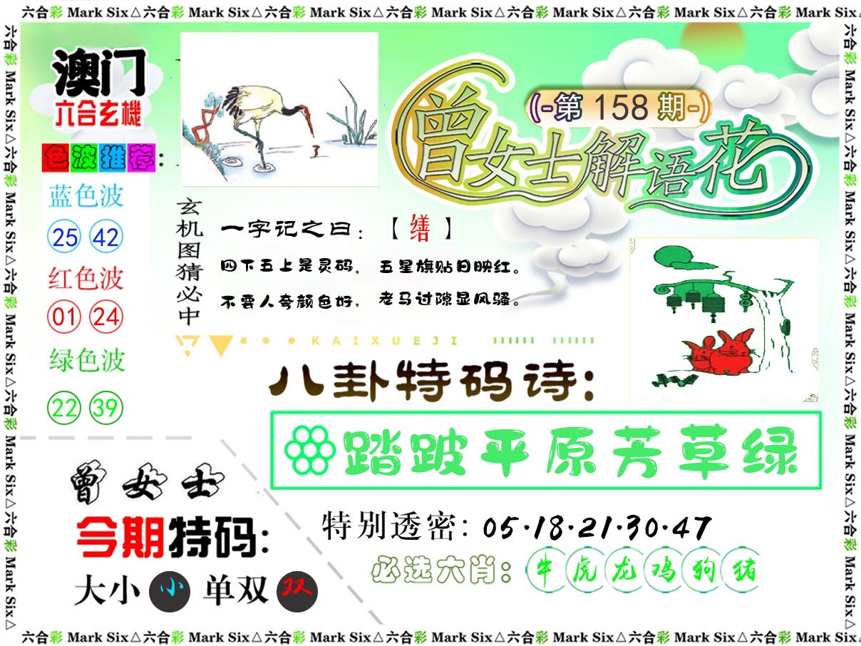 曾女士解语花 第158期