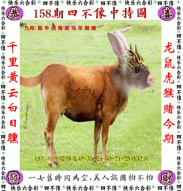 四不像 第158期