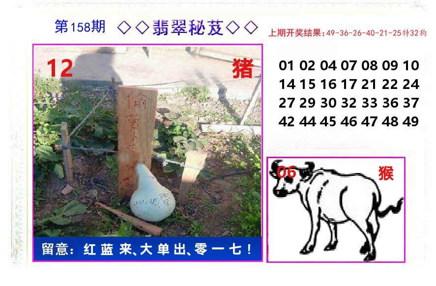 翡翠秘芨 第158期