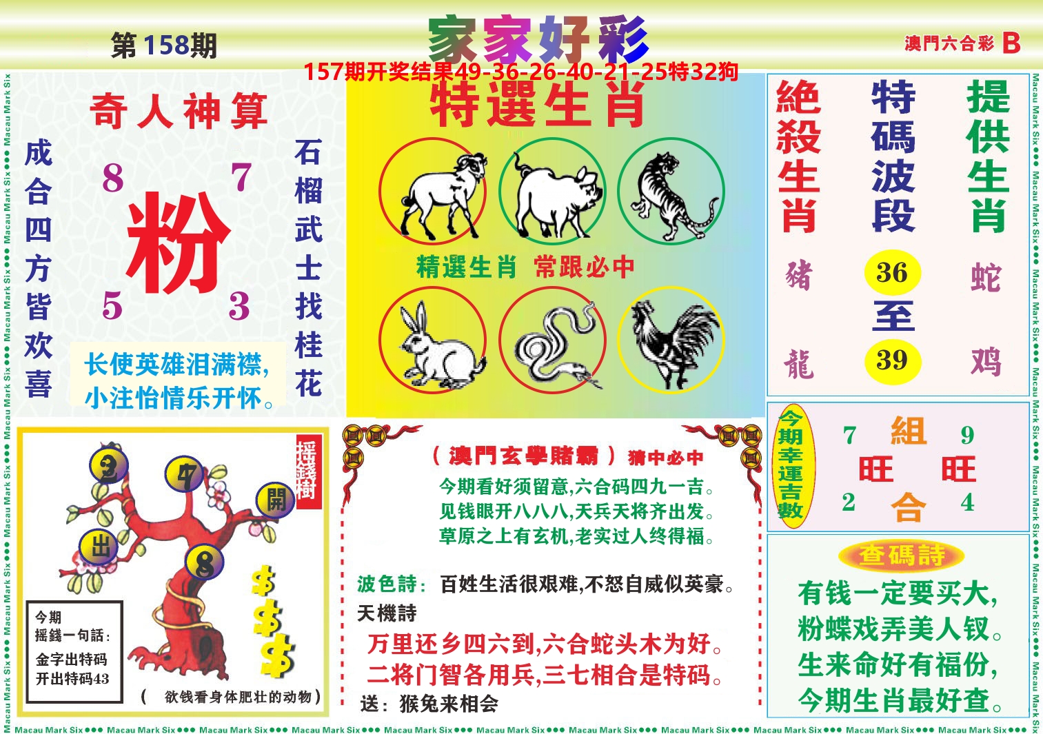 家家好彩B 第158期